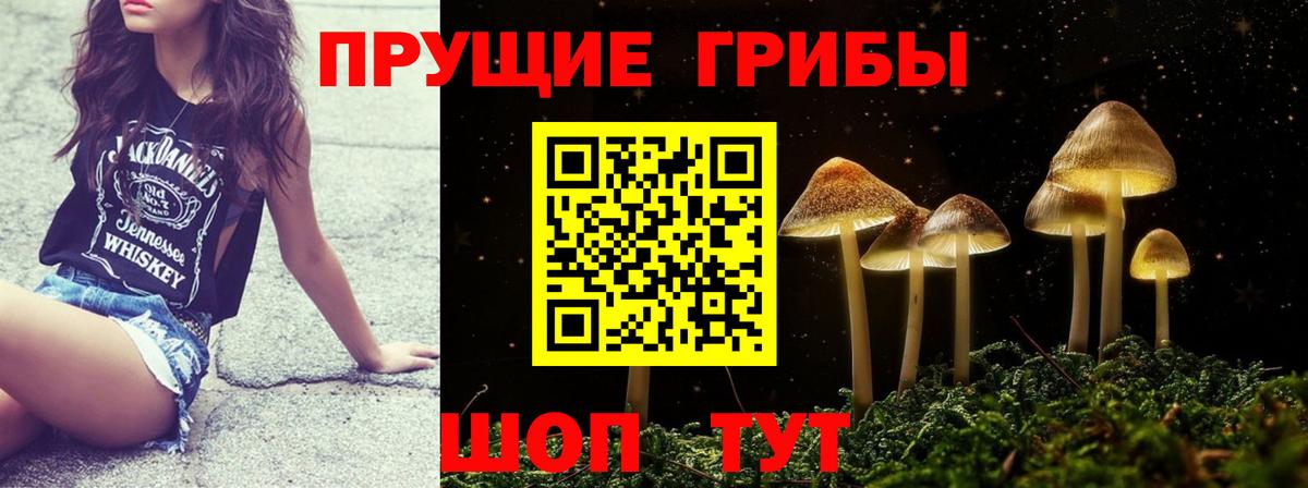 Псилоцибиновые грибы Magic Shrooms  купить  цена  Кузнецк  Вход с VPN  Псилоцибиновые грибы мухоморы 