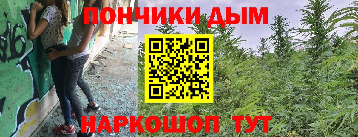 Конопля тримм  Конопля THC 21%  Кузнецк  Вход с VPN  Канабис THC 21%  Шишки марихуана марихуана 